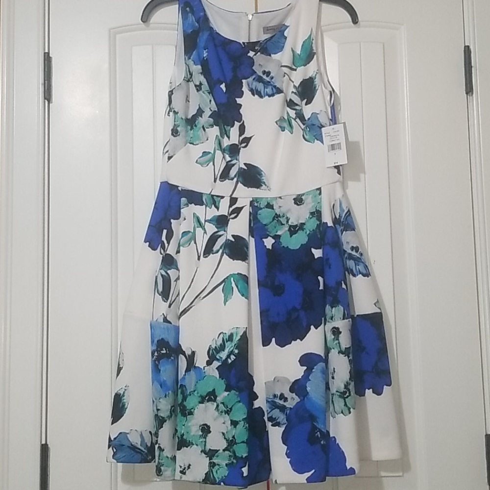 NWT Danny and Nicole Dress